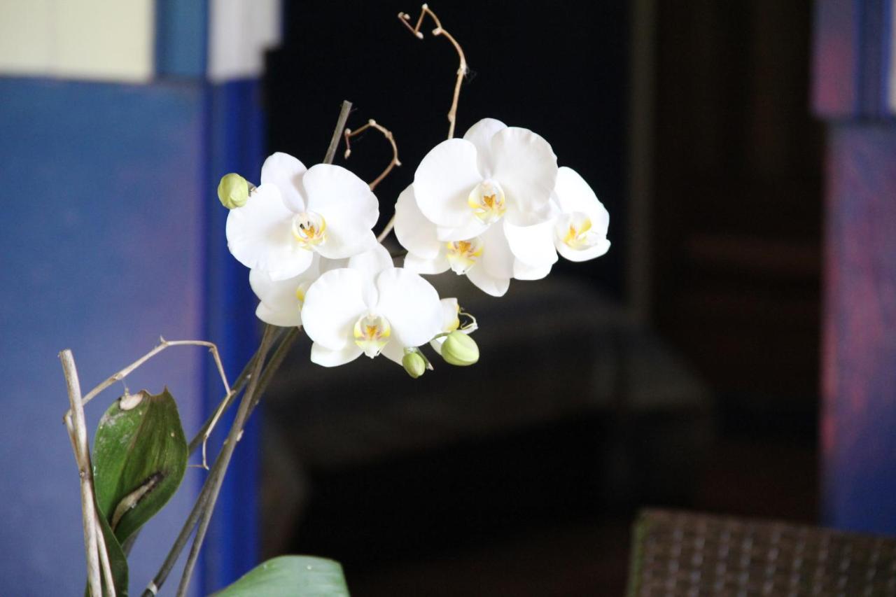 Horquetas River Lodge Sarapiquí エクステリア 写真