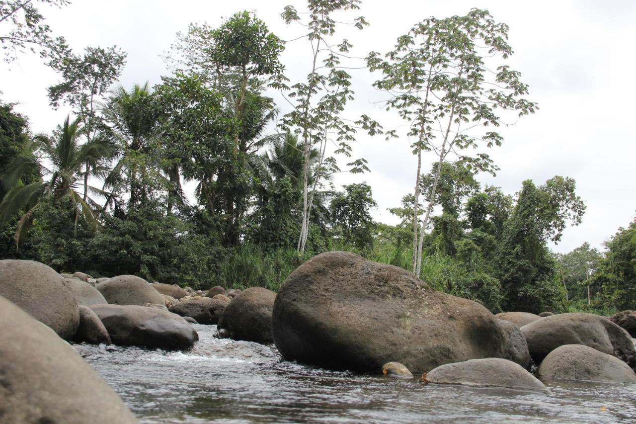 Horquetas River Lodge Sarapiquí エクステリア 写真