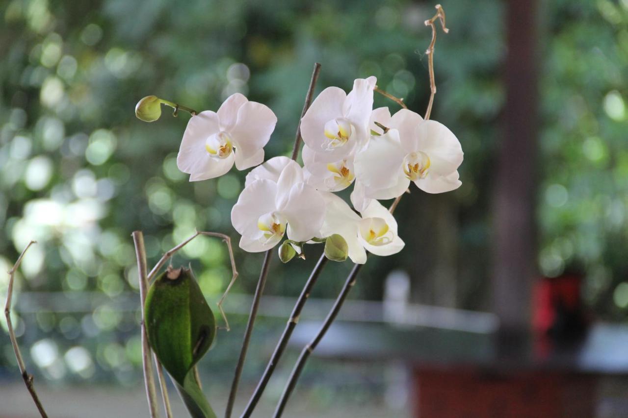 Horquetas River Lodge Sarapiquí エクステリア 写真