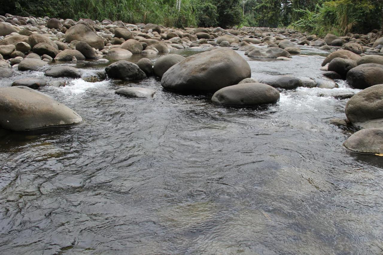 Horquetas River Lodge Sarapiquí エクステリア 写真