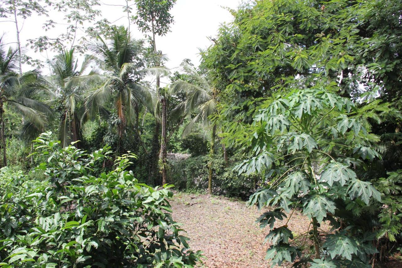 Horquetas River Lodge Sarapiquí エクステリア 写真