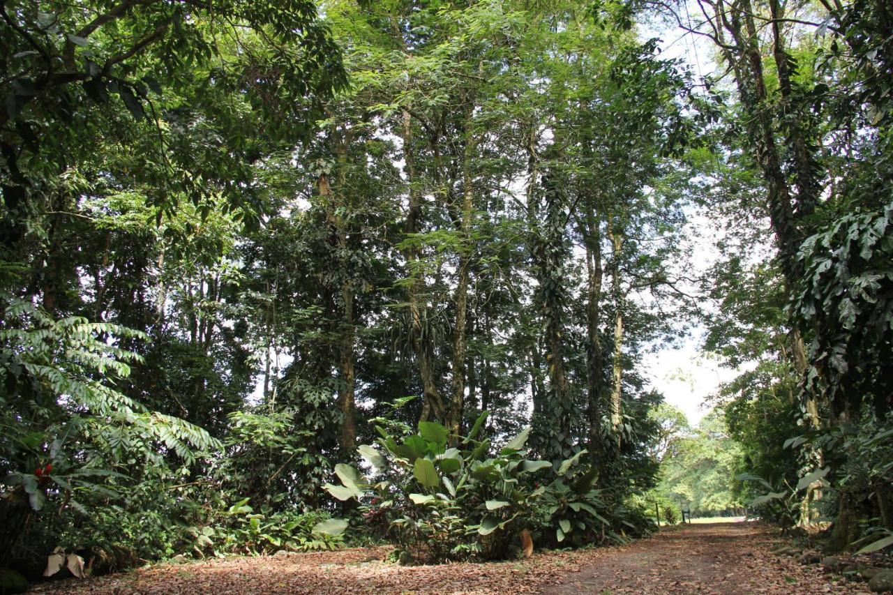 Horquetas River Lodge Sarapiquí エクステリア 写真