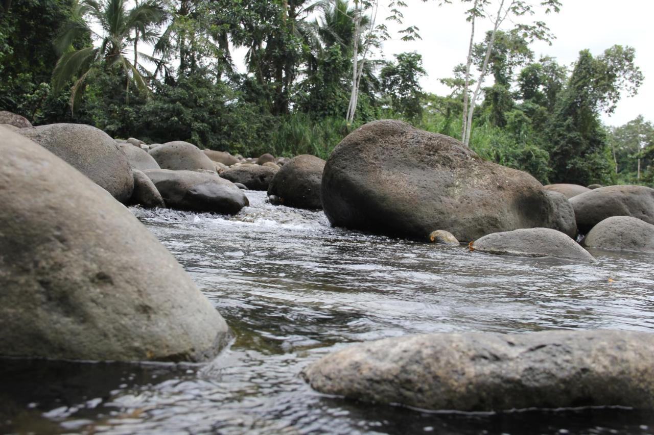Horquetas River Lodge Sarapiquí エクステリア 写真