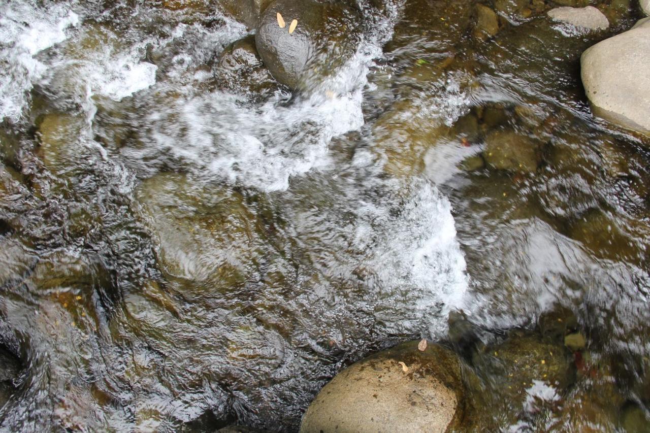 Horquetas River Lodge Sarapiquí エクステリア 写真