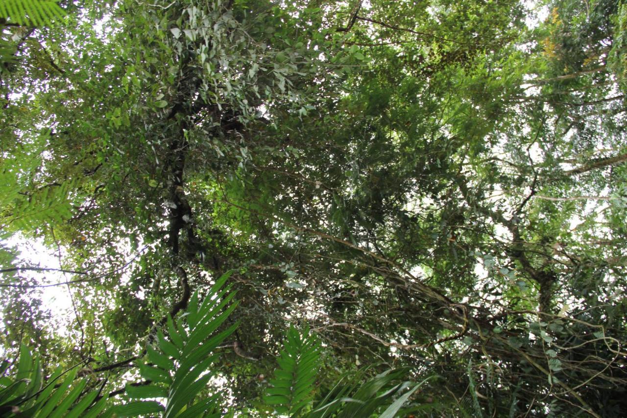 Horquetas River Lodge Sarapiquí エクステリア 写真