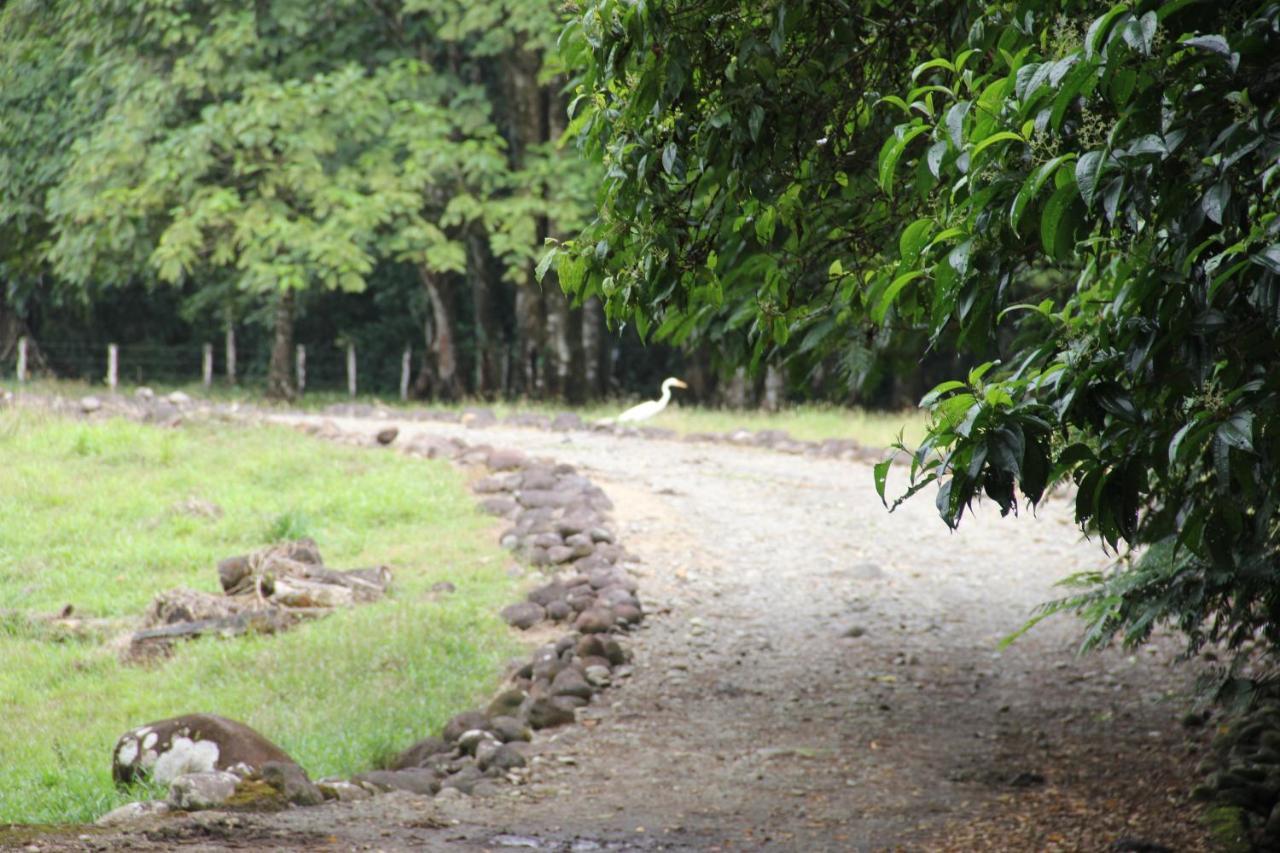Horquetas River Lodge Sarapiquí エクステリア 写真