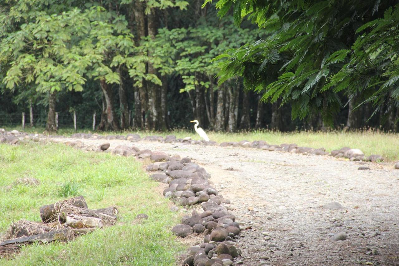 Horquetas River Lodge Sarapiquí エクステリア 写真