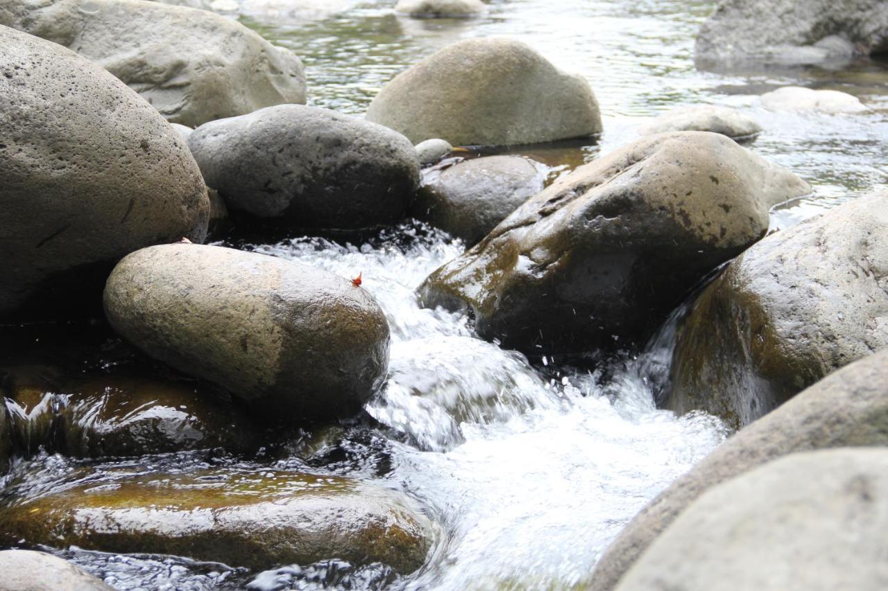Horquetas River Lodge Sarapiquí エクステリア 写真